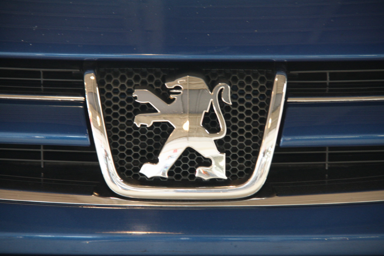 Peugeot 607 (15)